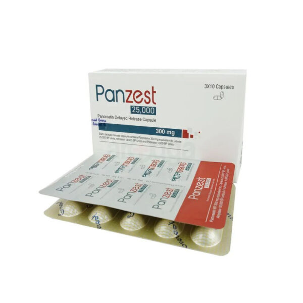 Panzest 25000 10 Pcs